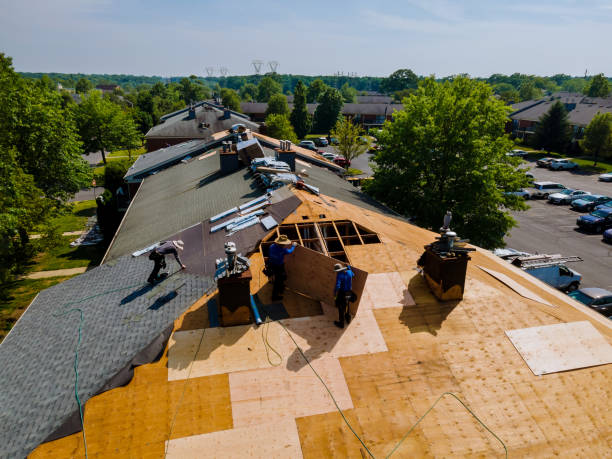 Roof Gutter Cleaning in Fremont Hills, MO